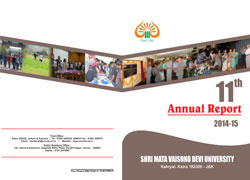 annual report